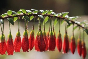 肇庆高要区4私人快速借钱网，轻松解决资金难题