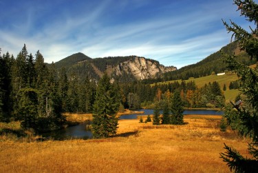 肇庆高要区4民间私贷攻略：揭秘低成本借贷的秘密