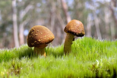 肇庆高要区4私人老板放款：轻松融资的秘密通道